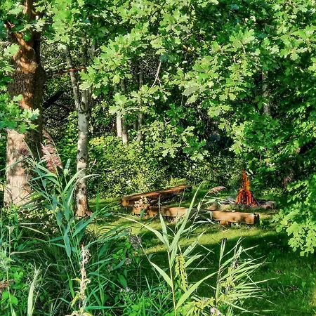 Stunning In With Wifi Semesterbostad