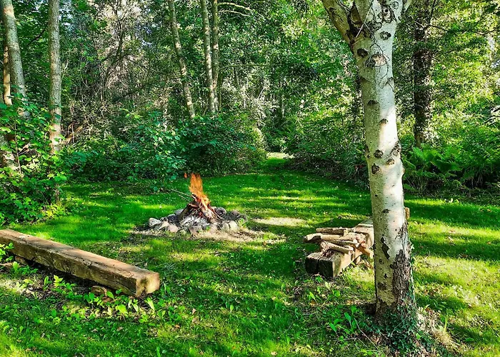 Dom wakacyjny Stunning In With Wifi